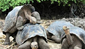 South America budget tours