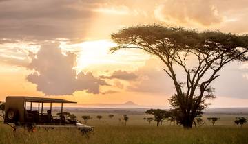 14 Tage Luxus-Flitterwochen Safari & Sansibar (All-Inclusive)