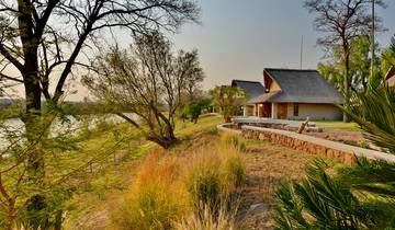 Johannesburg & Bush Experience