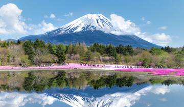 Essential Tokyo & Mount Fuji - 5 days