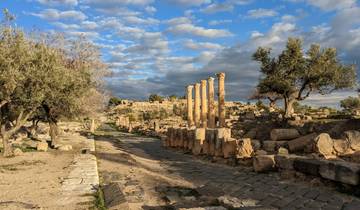 Jordanie : randonnée, vélo et plongée en apnée circuit