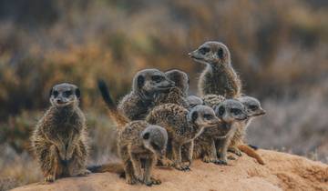 Kruger, Coast & Cape (from Johannesburg to Cape Town)