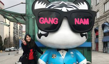 Seoul In Depth & DMZ - 6 Tage