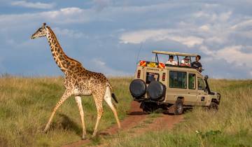 Circuito Kenia: Masai Mara, Tsavo y Maravillas Costeras