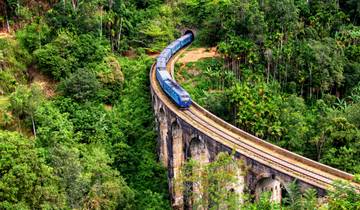 Discover Sri Lanka Elephants & Hill Country in Just 02 Days Tour