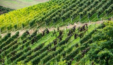 Piedmont - an Enjoyable Experience