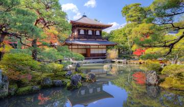 Circuit inoubliable de 16 jours en petit groupe au Japon