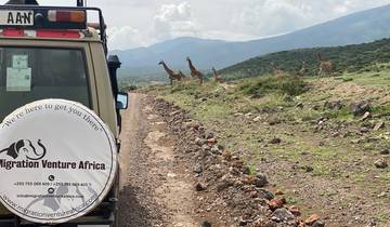 5-Tage 4 Nächte Mikumi NP & Ruaha NP Mid - Range Tour