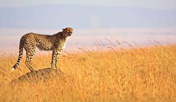 3-Day Serengeti and Ngorongoro Luxury Safari