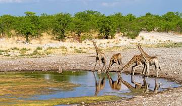 Amazing Southern Africa (from Cape Town to Victoria Falls)