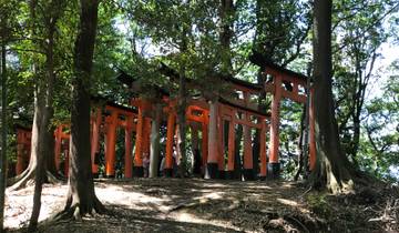 Japan Unlocked: From Ancient Temples to Cutting-Edge Tech