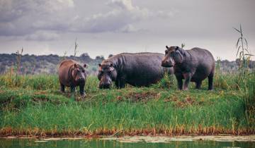 Camion d'expédition