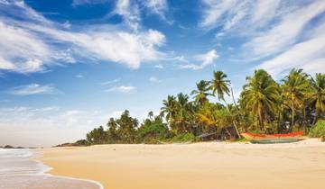 Sri Lanka para solteros y viajeros en solitario