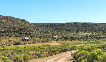 Rooibos Rhapsodie - Teezeit in Südafrika
