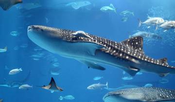 Aventura de Perth a Exmouth - 6 días