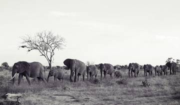 Circuito Itinerario exclusivo de safari por Kenia: Playa de Diani, Tsavo Oeste y Amboseli 7 días