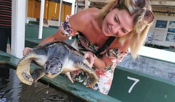 ???? Yala Safari Ausflugstour Rundreise