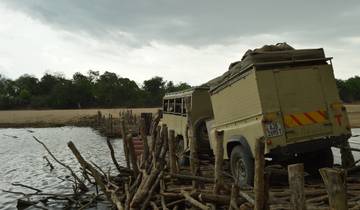 Zambia - Walking Safari with Batmigration in October