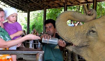 Sri Lanka Waves & Wilderness - 8 jours circuit