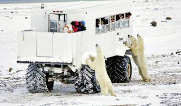 Circuito Experiencia bárbara en el hielo con el Tundra Buggy Lodge (6 noches)