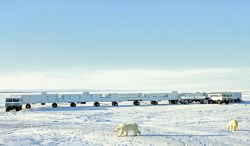 Expérience des îles glacées avec Tundra Buggy Lodge (6 nuits)
