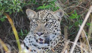 7-Day Rwanda Uganda Wildlife and Primate Safari Adventure Tour