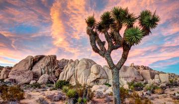 Joshua Tree & Anza Borrego Multisport Tour Tour