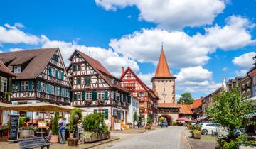 Cote d Azur, Burgundy, Alsace and Black Forest (20 destinations)