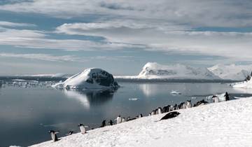 Ultimate Atlantic Odyssey: Africa to Antarctica