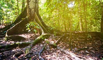 Borneo Sabah Wildlife Highlights