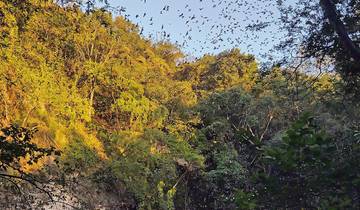 Mayan culture & magic - the deep soul of the Yucatan Tour