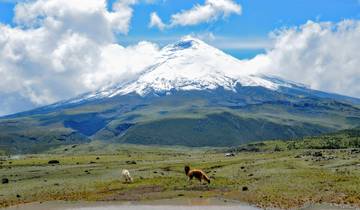The Heart of Ecuador: Highlands to Amazon Adventure Tour