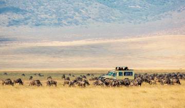 Circuito Kenia y Tanzania: el ritmo de la naturaleza salvaje