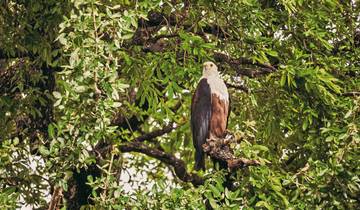 Botswana Pure Tour