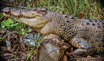 Manhattan Express & Florida Sunshine State avec séjour balnéaire (version supérieure, Ocean View)