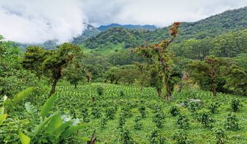 Panama - Nature, Tradition & Rêves Tropicaux circuit
