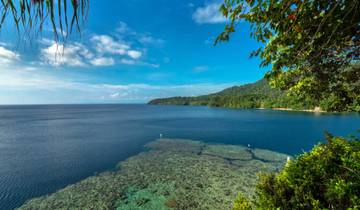 Îles Niugini : Les secrets des appelants de requins