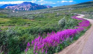 Aventure Horizons Alaska - 6 jours