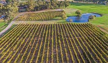 Kimberley Ontdekkingsreis & Pinnacles