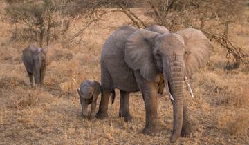 Vic Falls to Kenya (19 destinations)