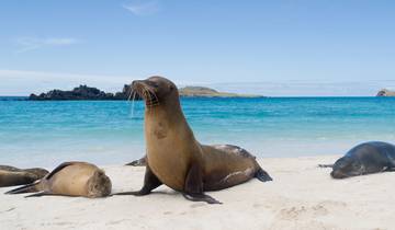Exploration du Pérou et des Galápagos (from Lima to Quito)