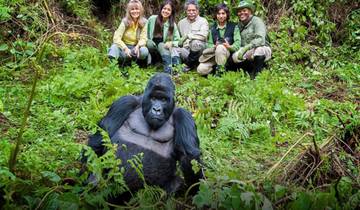 4-Day Rwanda Gorilla & Golden Monkey Trekking Safari