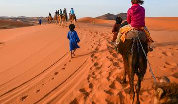 From Fes : Private 3-Day Tour Merzouga Desert To Marrakech Tour