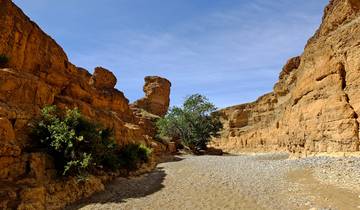 Africa Encompassed Northbound (59 destinations)