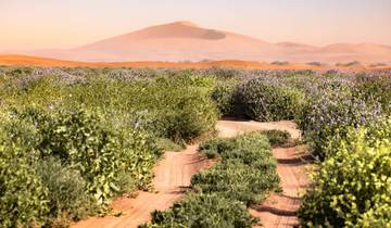 Circuit de luxe \"Majesté du désert\" - 9 jours circuit