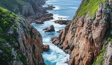 6-tägige ultimative Kapstadt Safari & Rundreise Rundreise