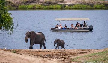 Safari de 6 jours à Chobe et dans le delta de l'Okavango (Big Five)