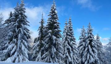 Slowakei - Winterwandern in der Niederen und Hohen Tatra (7 Tage)