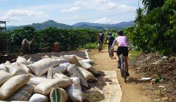 Du riz au café : L\'aventure cycliste emblématique du sud du Vietnam circuit