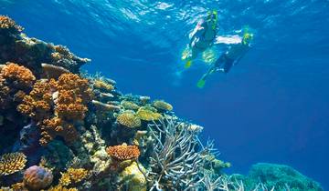 Points forts de la côte est circuit